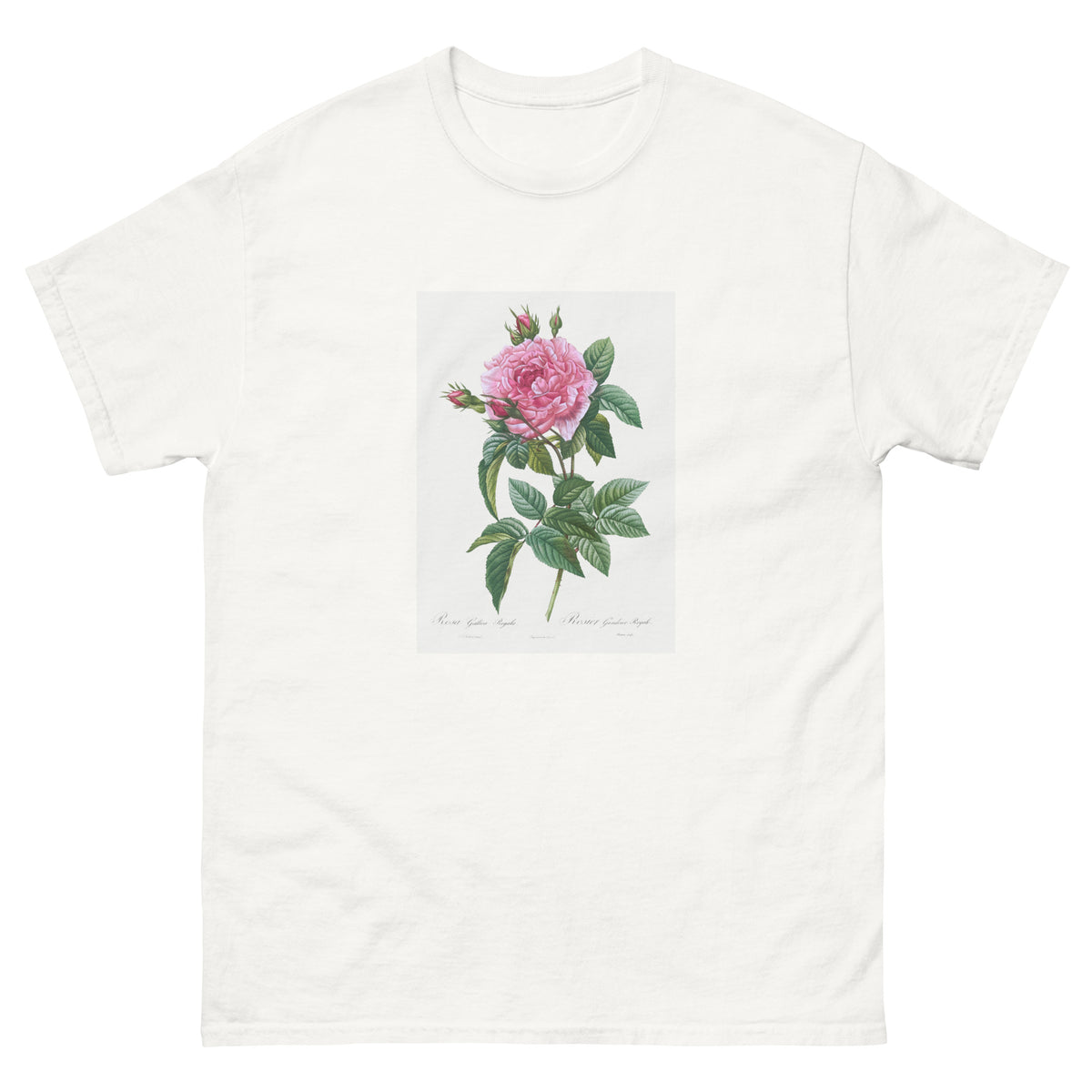 White T-shirt Gallic Rose Rosa Gallica Regalis Essential