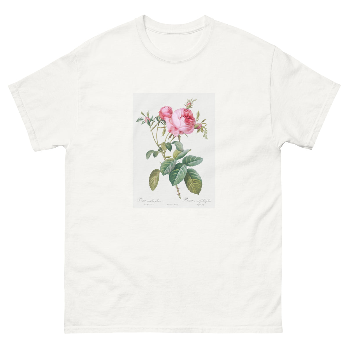 White T-shirt Rose De Mai Rosa Centifolia Foliacea Essential