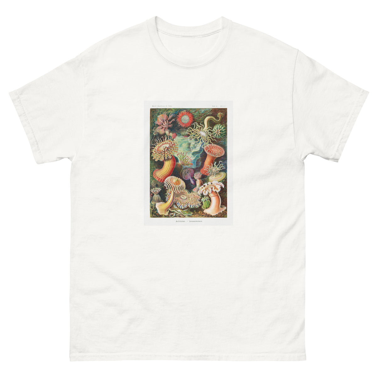 White T-shirt Actiniae Seeanemonen Essential