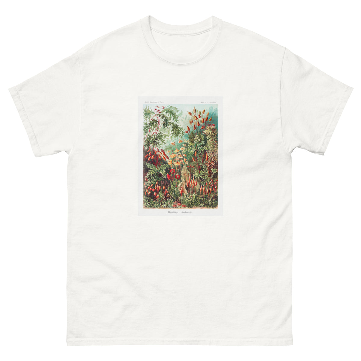 White T-shirt Muscinae Laubmoose A Giltsch Gem Essential