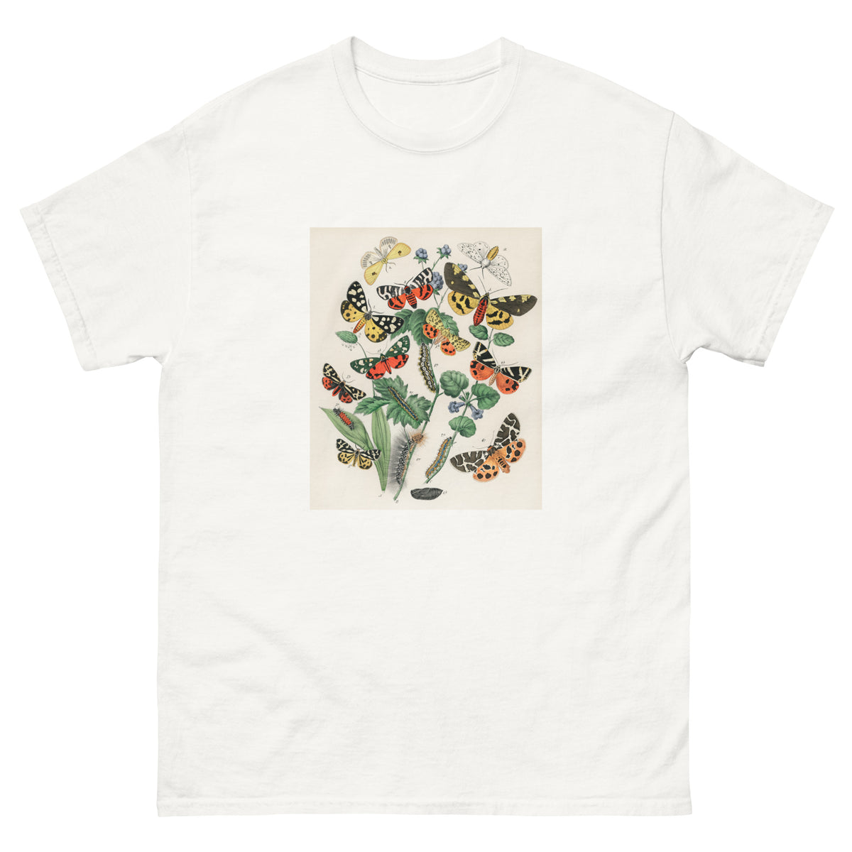 White T-shirt Illustrations - William Forsell Kirby 1882 Essential