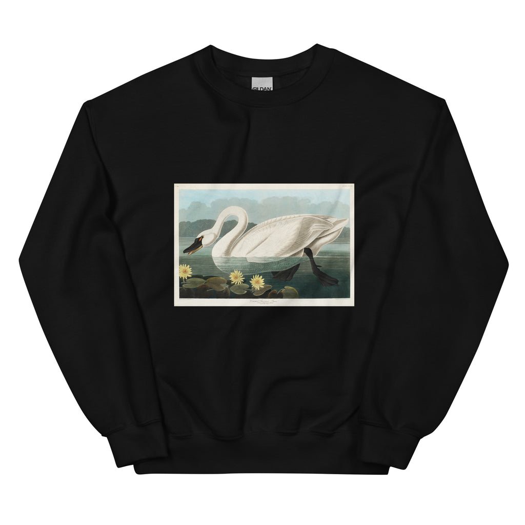 Black Sweater Common American Swan - John James Audubon 1827 Essential