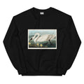 Black Sweater Common American Swan - John James Audubon 1827 Essential