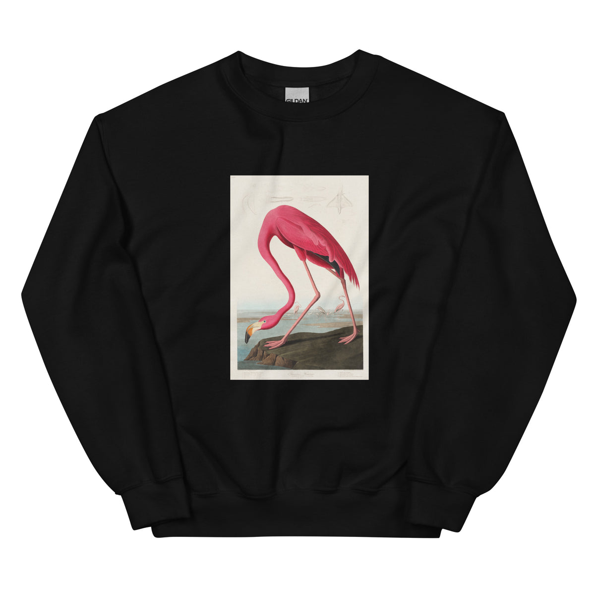 Black Sweater Pink Flamingo - John James Audubon 1827 Essential