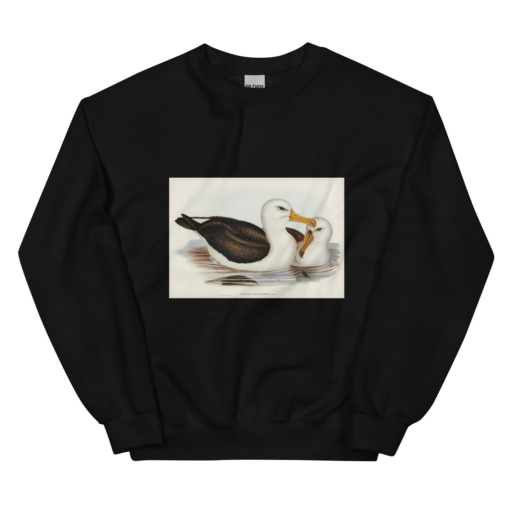 Black Sweater Black-Eyebrowed Albatros Diomedea Melanophrys Illustrated - Elizabeth Gould 1804 Essential