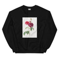 Black Sweater Purple French Rose Rosa Gallica Purpuro-Violacea Magna Essential