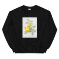 Black Sweater Rosa Hemisphaerica Also Known As Yellow Rose Of Sulfur Rosa Sulfurea Essential