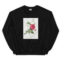 Black Sweater Blood-Red Bengal Rose Rosa Indica Cruneta Essential