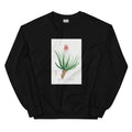Black Sweater Aloe Socotrina Image Essential