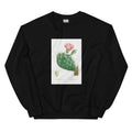 Black Sweater Cactus Cochenillifer Image Essential