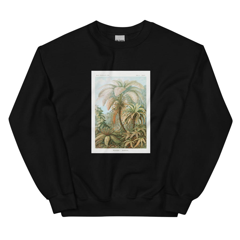 Black Sweater Filicinae Laubfarne Essential