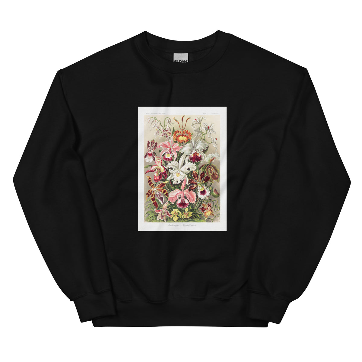 Black Sweater Orchideae Denusblumen A Giltsch Gem Essential