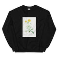 Black Sweater Mesembryanthemum Helianthoides Spatula Leaved Fig Marigold - Pierre-Joseph 1799 Essential