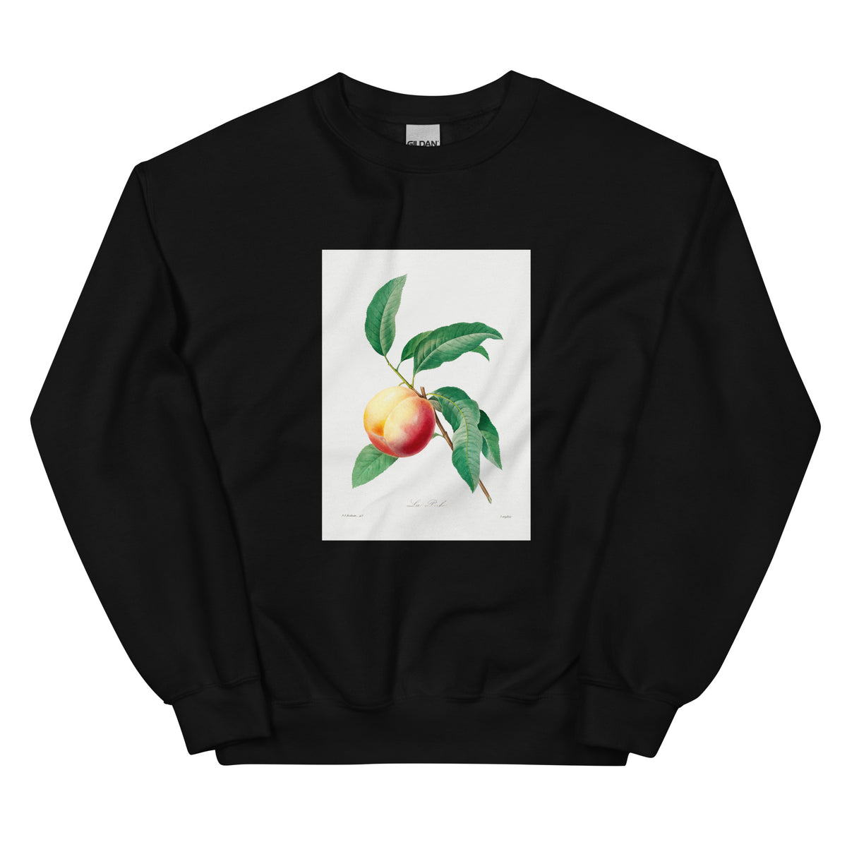 Black Sweater Peach Fruit On A Branch - Pierre-Joseph Redoute 1759 Essential