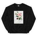 Black Sweater Cabbage Rose - Pierre-Joseph Redoute 1759 Essential