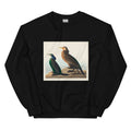 Black Sweater Violet-Green Cormorant And Townsend S Cormorant - John James Audubon 1827 Essential