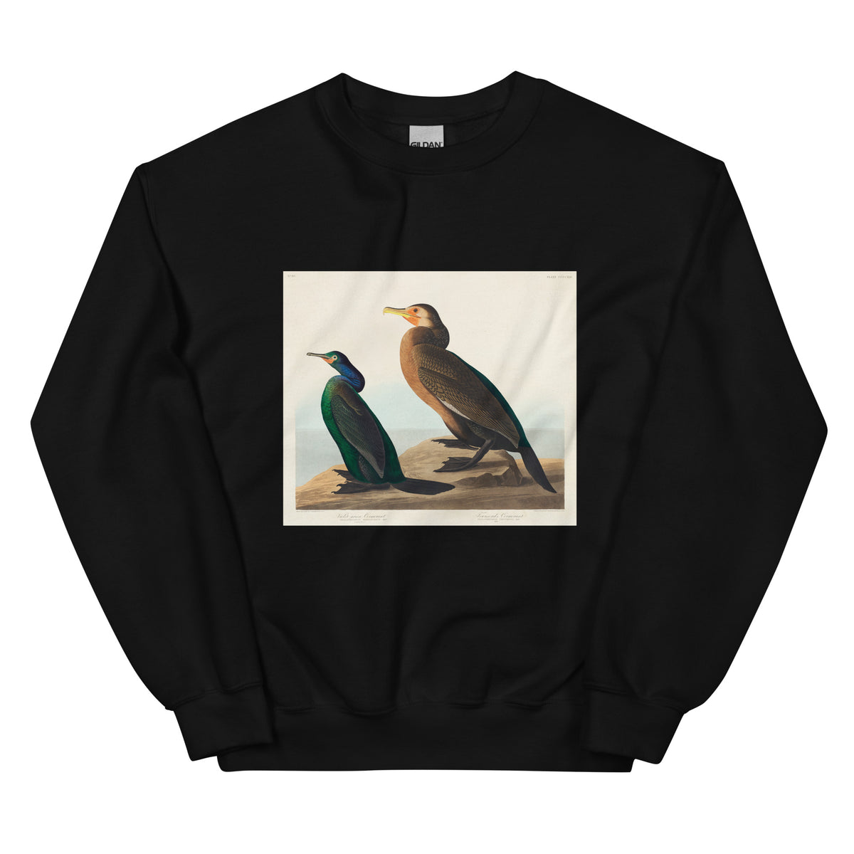Black Sweater Violet-Green Cormorant And Townsend S Cormorant - John James Audubon 1827 Essential