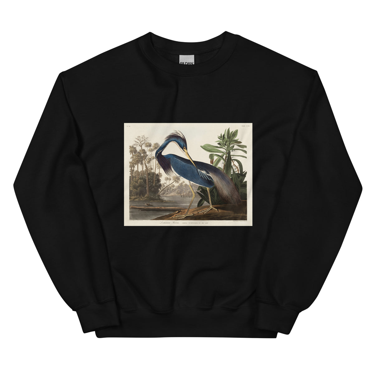 Black Sweater Louisiana Heron Essential