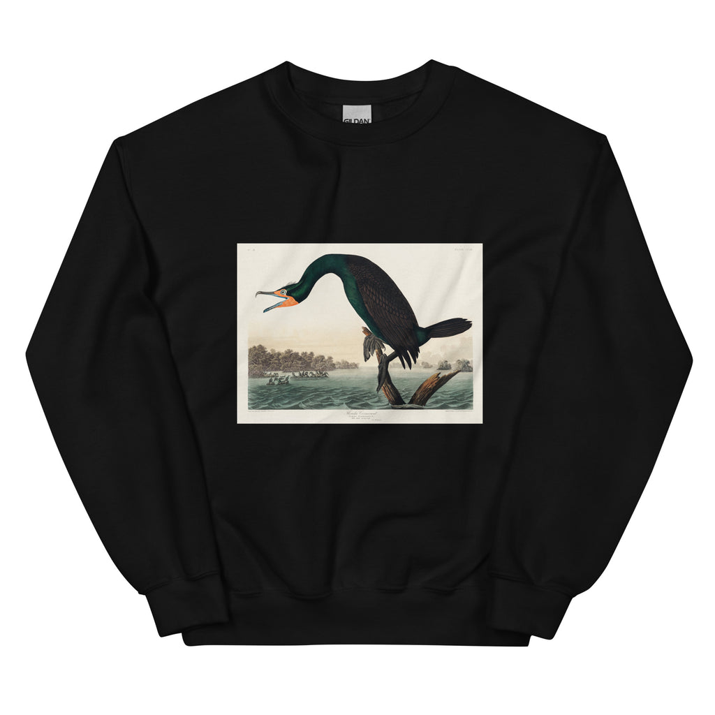 Black Sweater Florida Cormorant Essential