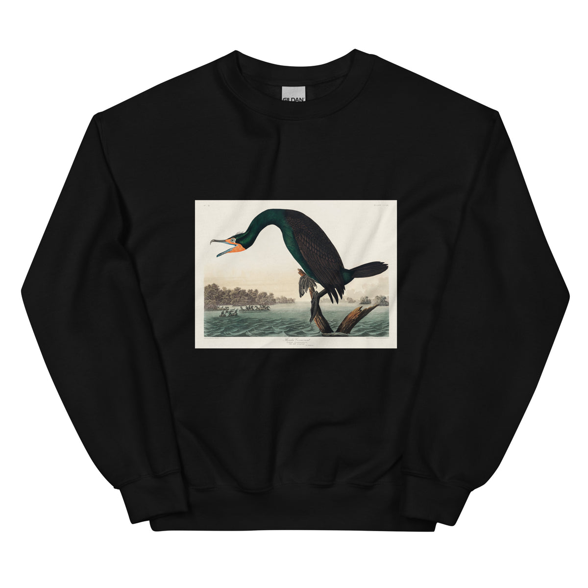 Black Sweater Florida Cormorant Essential