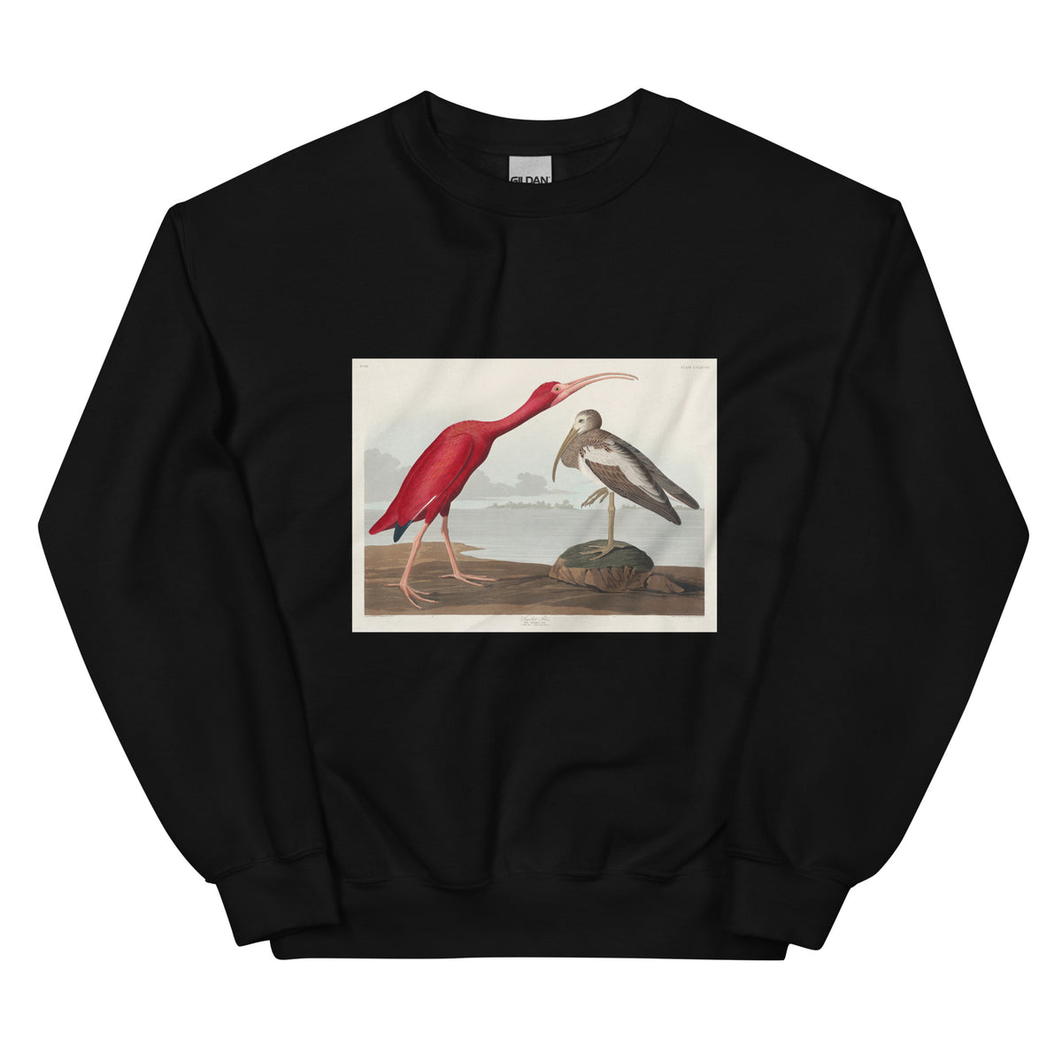 Black Sweater Scarlet Ibis - John James Audubon 1827 Essential