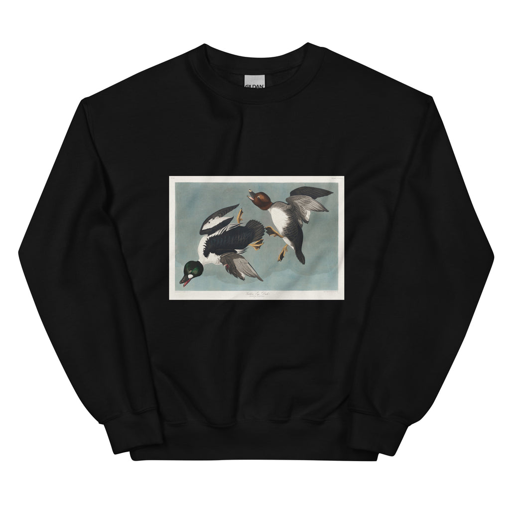 Black Sweater Golden-Eye Duck Essential