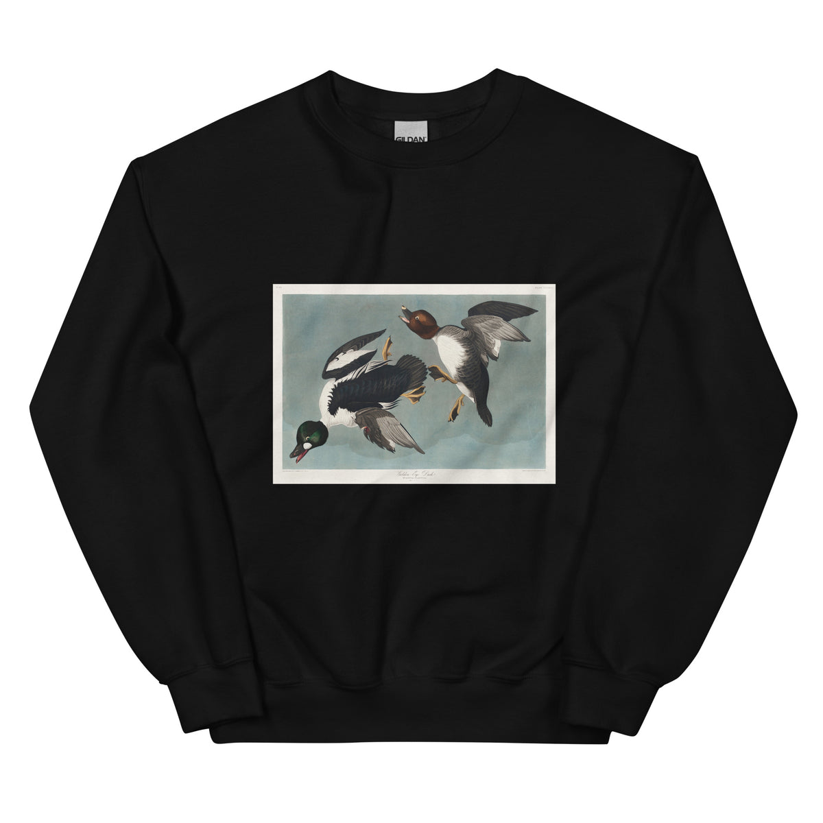 Black Sweater Golden-Eye Duck Essential