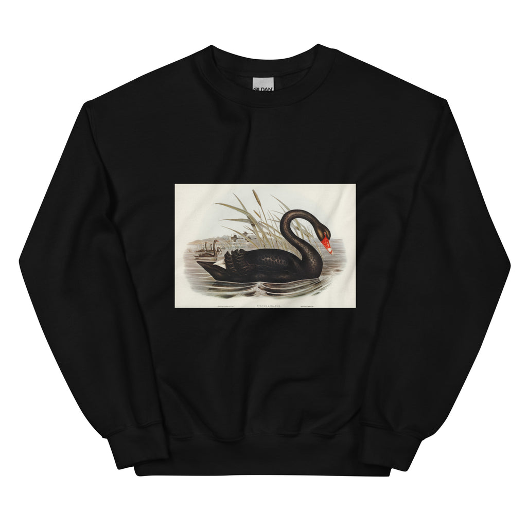 Black Sweater Black Swan Cygnus Atratus Illustrated - Elizabeth Gould 1804 Essential