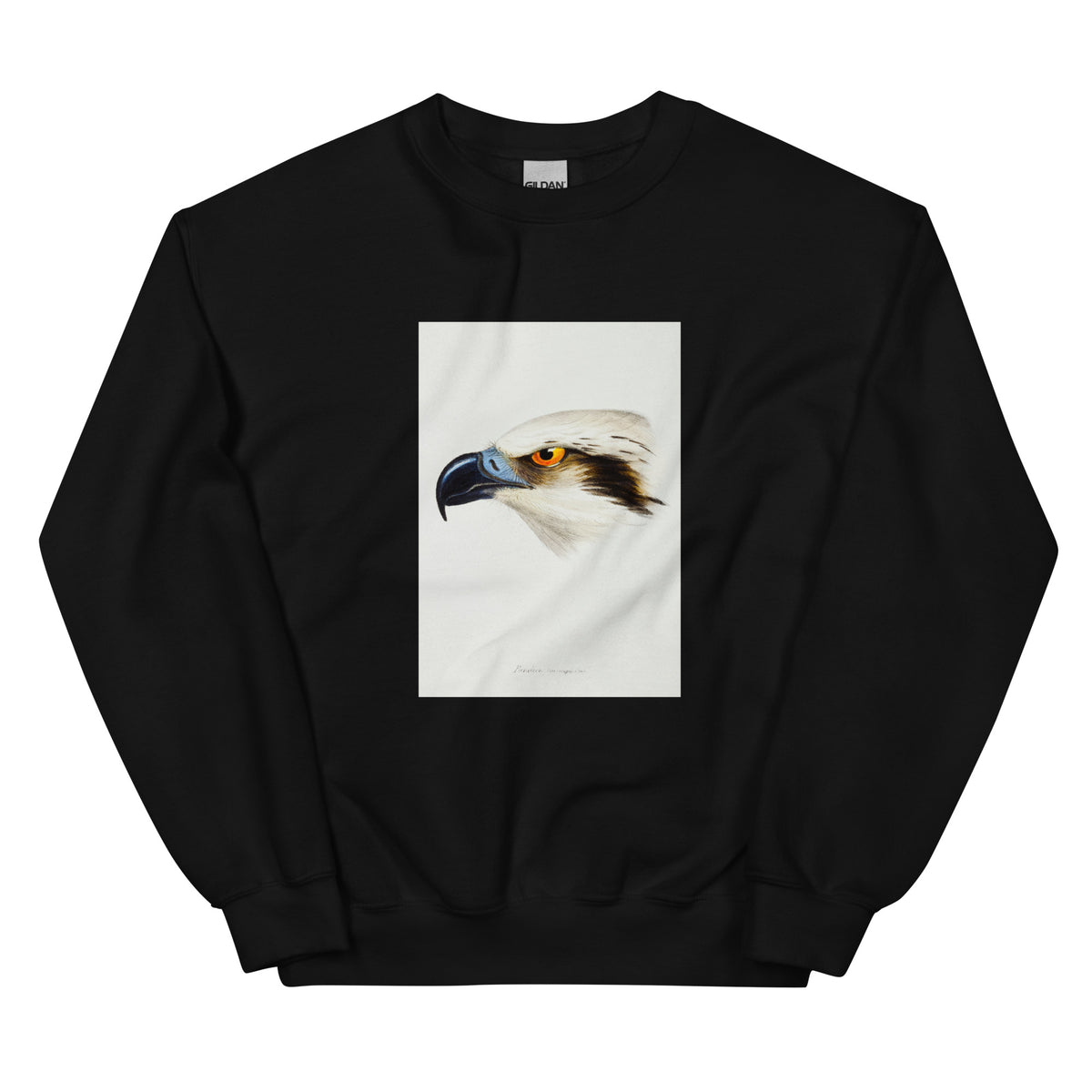 Black Sweater White-Headed Osprey Pandion Leucocephalus Illustrated Essential