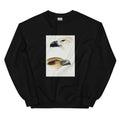 Black Sweater 1 White-Bellied Sea Eagle Haliaeetus Leucogaster 2 Whistling Kite Haliastur Sphenurus Illustrated Essential