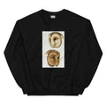 Black Sweater 1 Masked Barn Owl Strix Personata 2 Tasmanian Masked Owl Strix Castanops Illustrated Essential