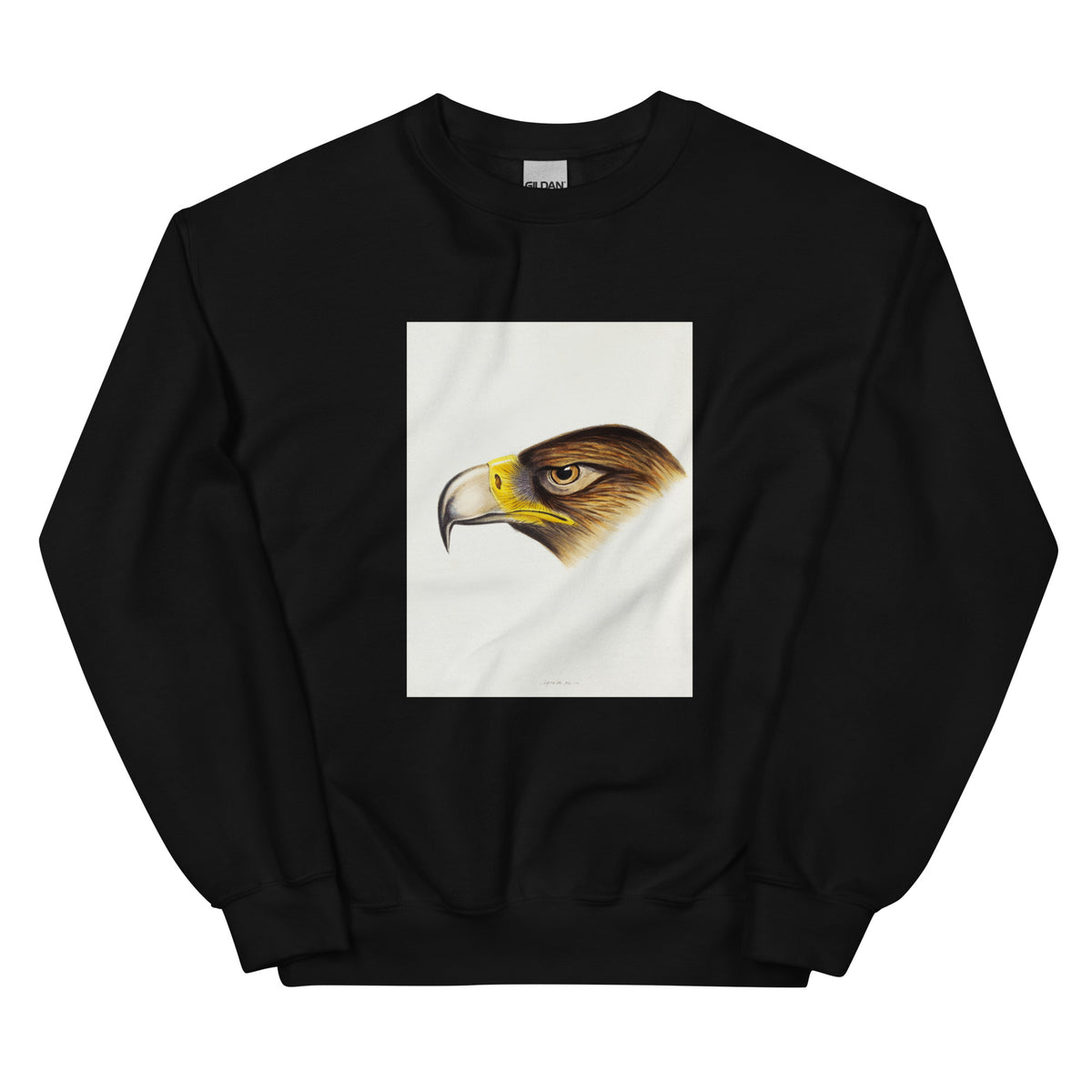 Black Sweater Wedge-Tailed Eagle Aquila Fucosa Illustrated Essential