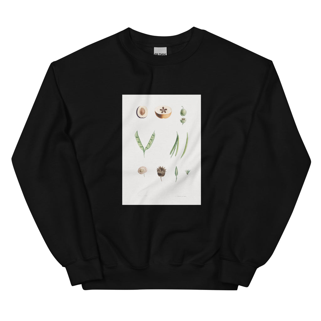 Black Sweater Plants Part - Pierre-Joseph Redoute 1759 Essential