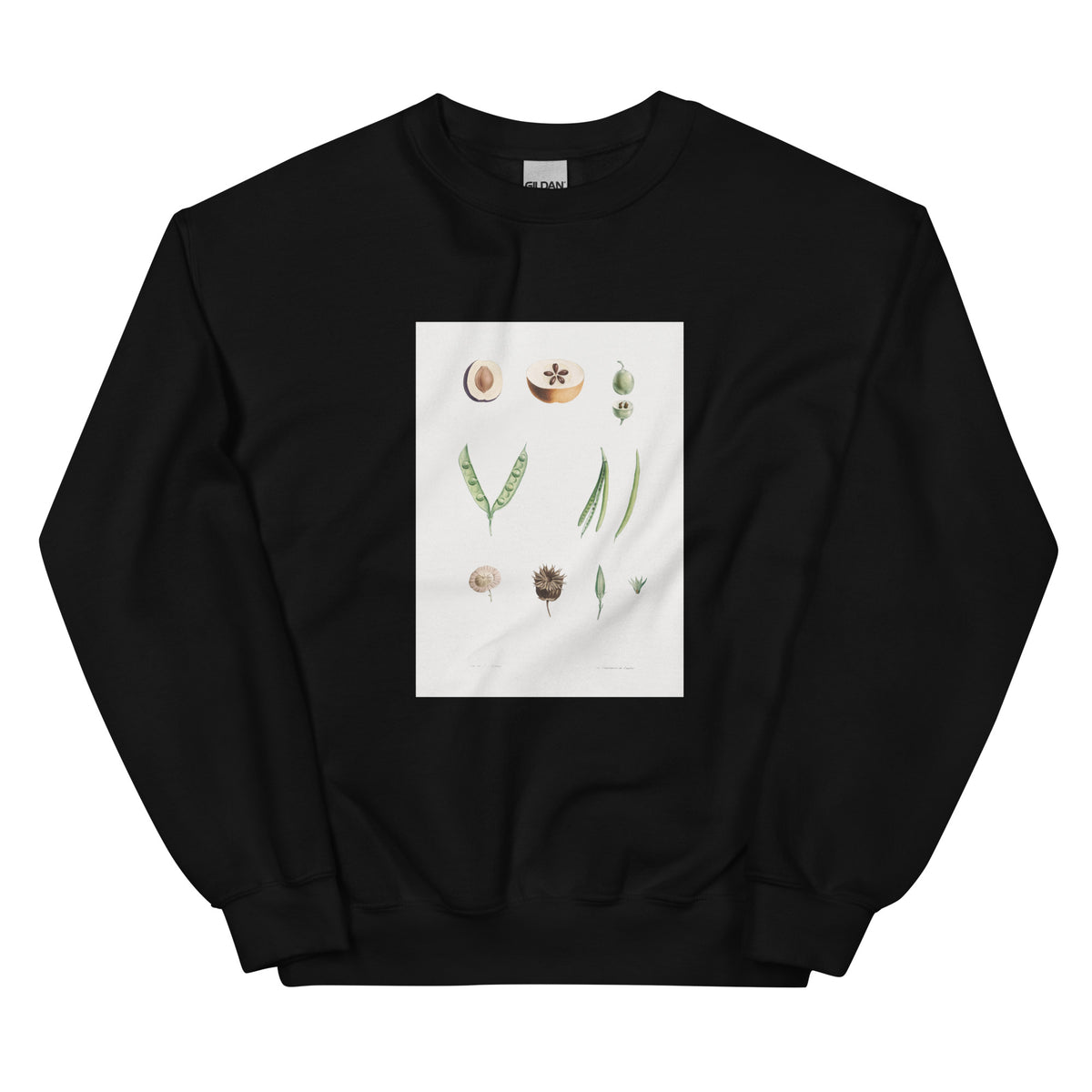 Black Sweater Plants Part - Pierre-Joseph Redoute 1759 Essential