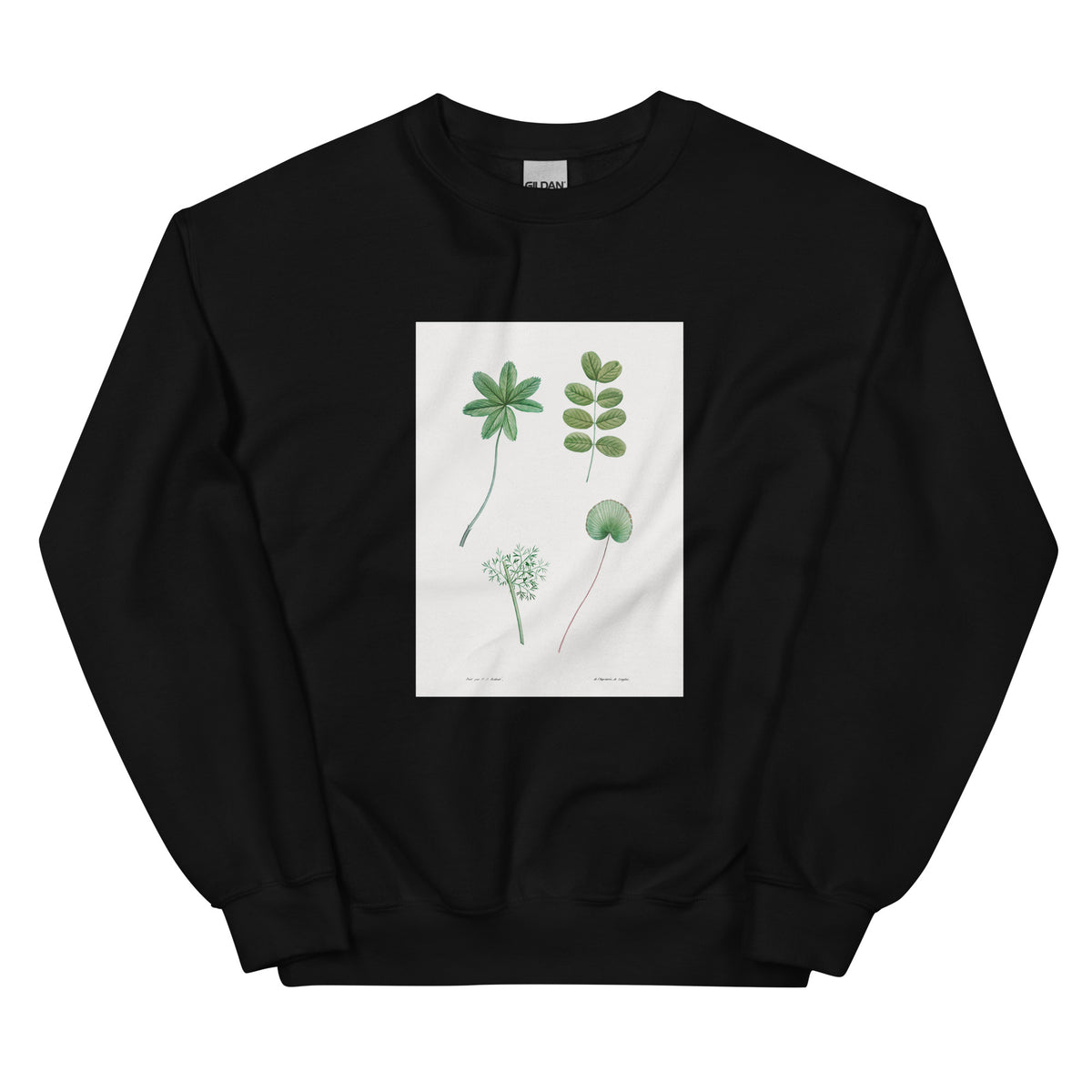 Black Sweater Tree Leaf Set - Pierre-Joseph Redoute 1759 Essential