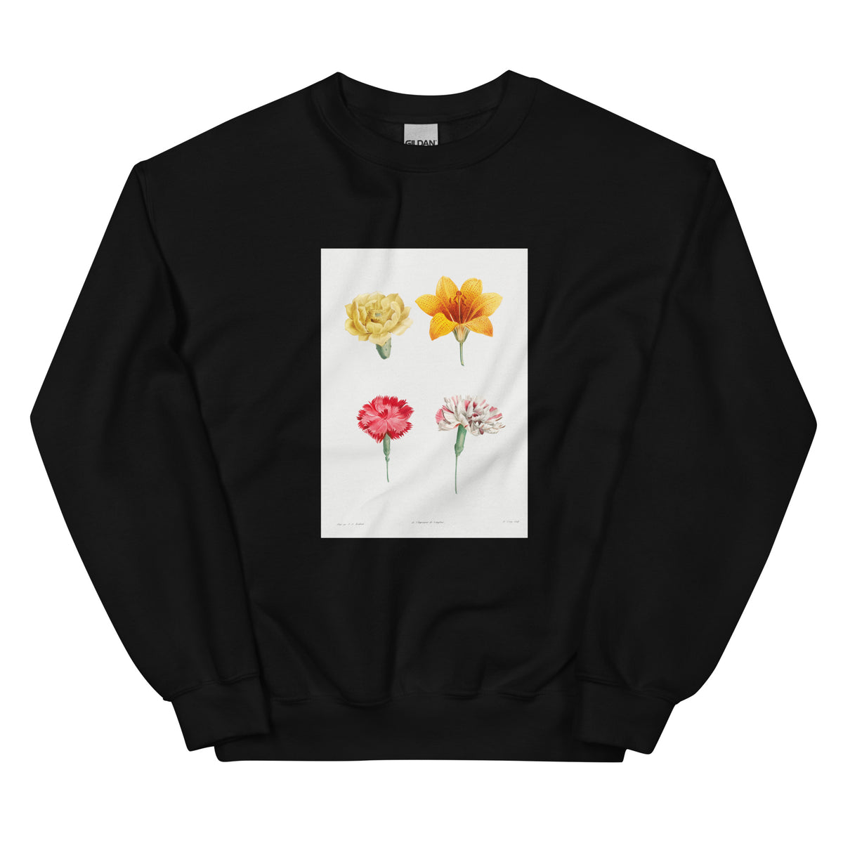 Black Sweater Flower Set - Pierre-Joseph Redoute 1759 Essential