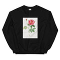 Black Sweater French Rose Also Known As Ordinary Provins Rosebush Rosa Galluca Offuenalis Essential