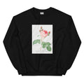 Black Sweater Cabbage Rose Also Known As One Hundred-Leaved Rose Rosa Centifolia Essential