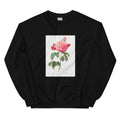 Black Sweater Gallic Rose Also Known As The Duchess Of Orleans Rosa Gallica Aurelianensis Essential