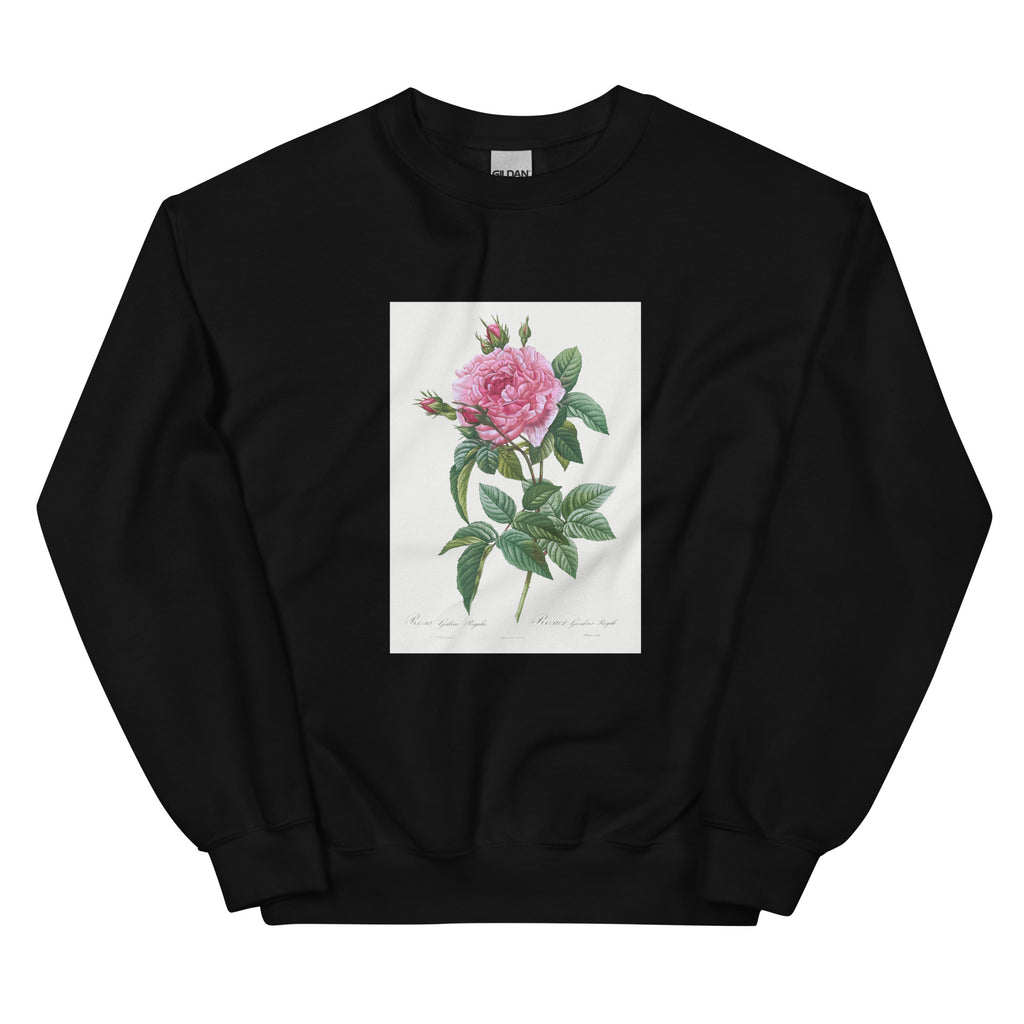 Black Sweater Gallic Rose Rosa Gallica Regalis Essential