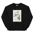 Black Sweater Rosa Bifera Officinalis Also Known As Rose Of Perfume Essential