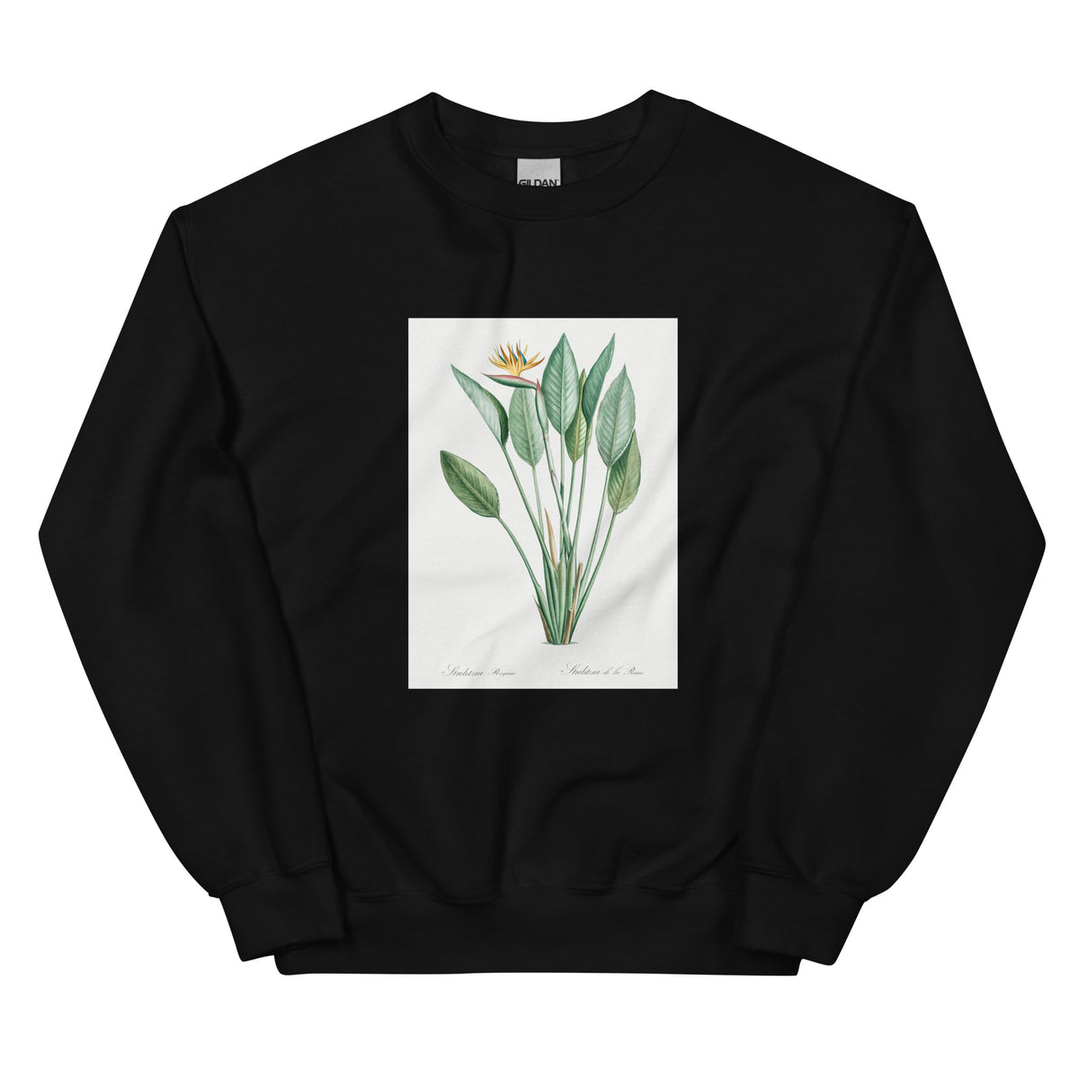 Black Sweater Bird Of Paradise Illustration II Essential
