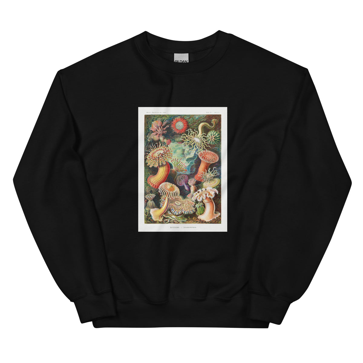 Black Sweater Actiniae Seeanemonen Essential