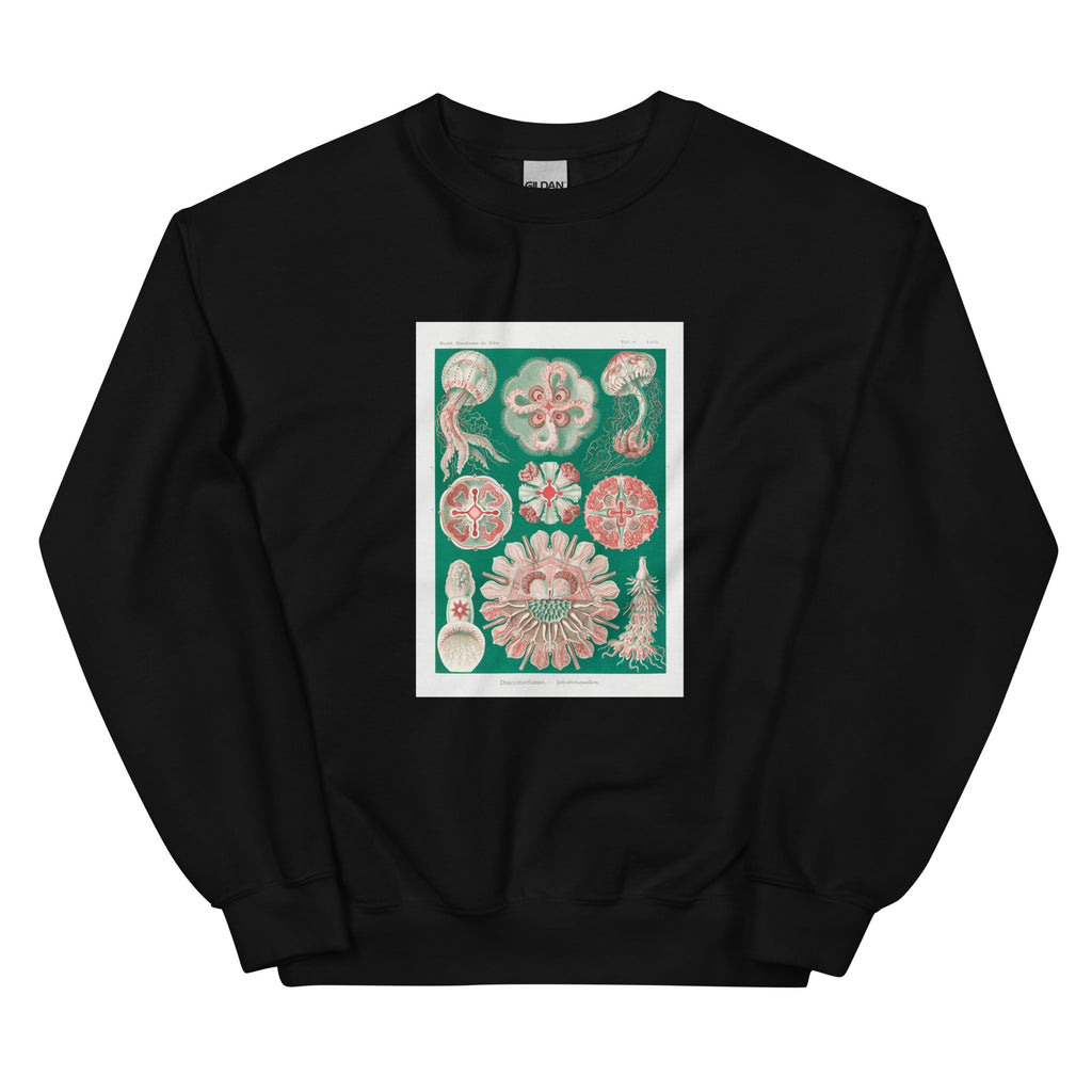 Black Sweater Discomedusae Schweibenquallen Essential