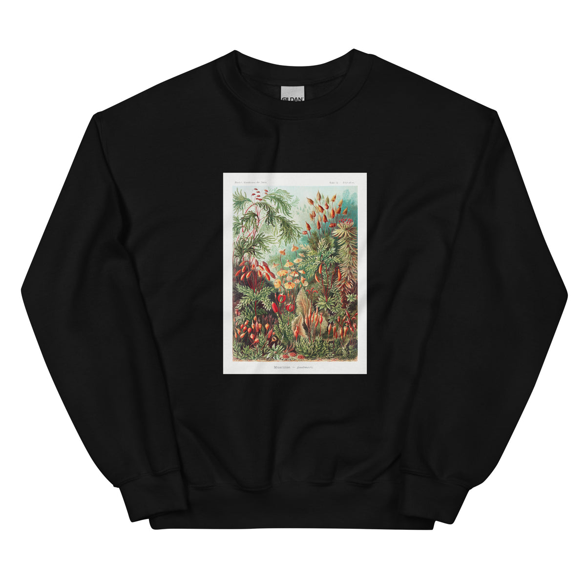 Black Sweater Muscinae Laubmoose A Giltsch Gem Essential