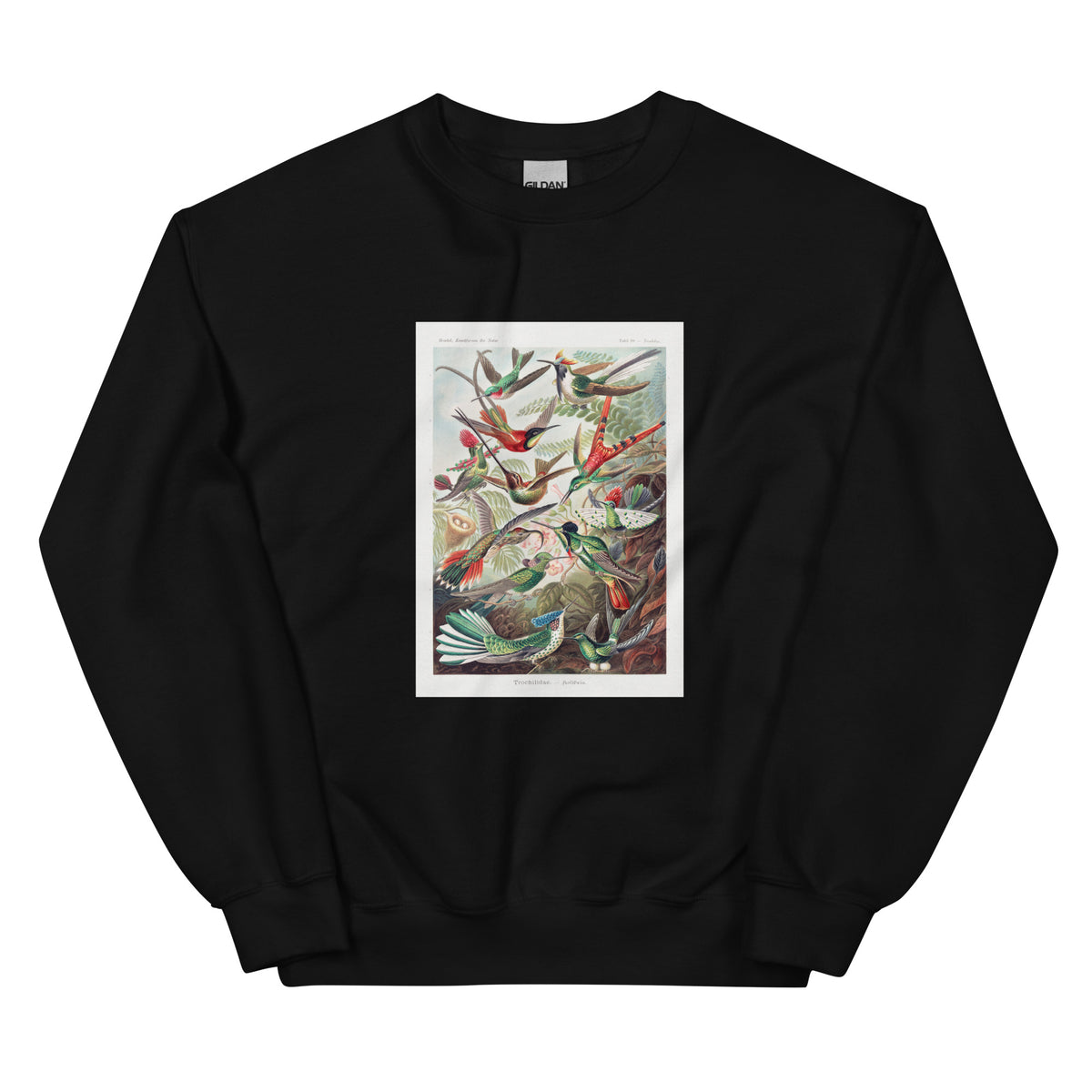 Black Sweater Trochilidae Kolibris Essential