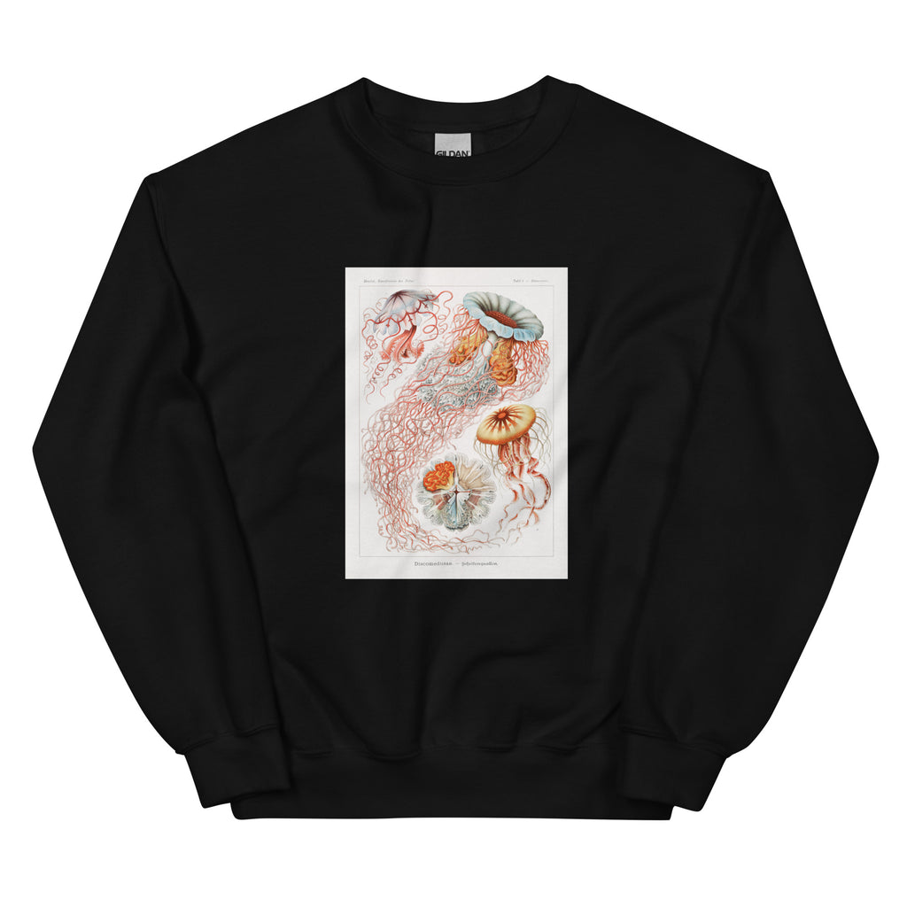 Black Sweater Discomedusae Scheibenquallen Essential
