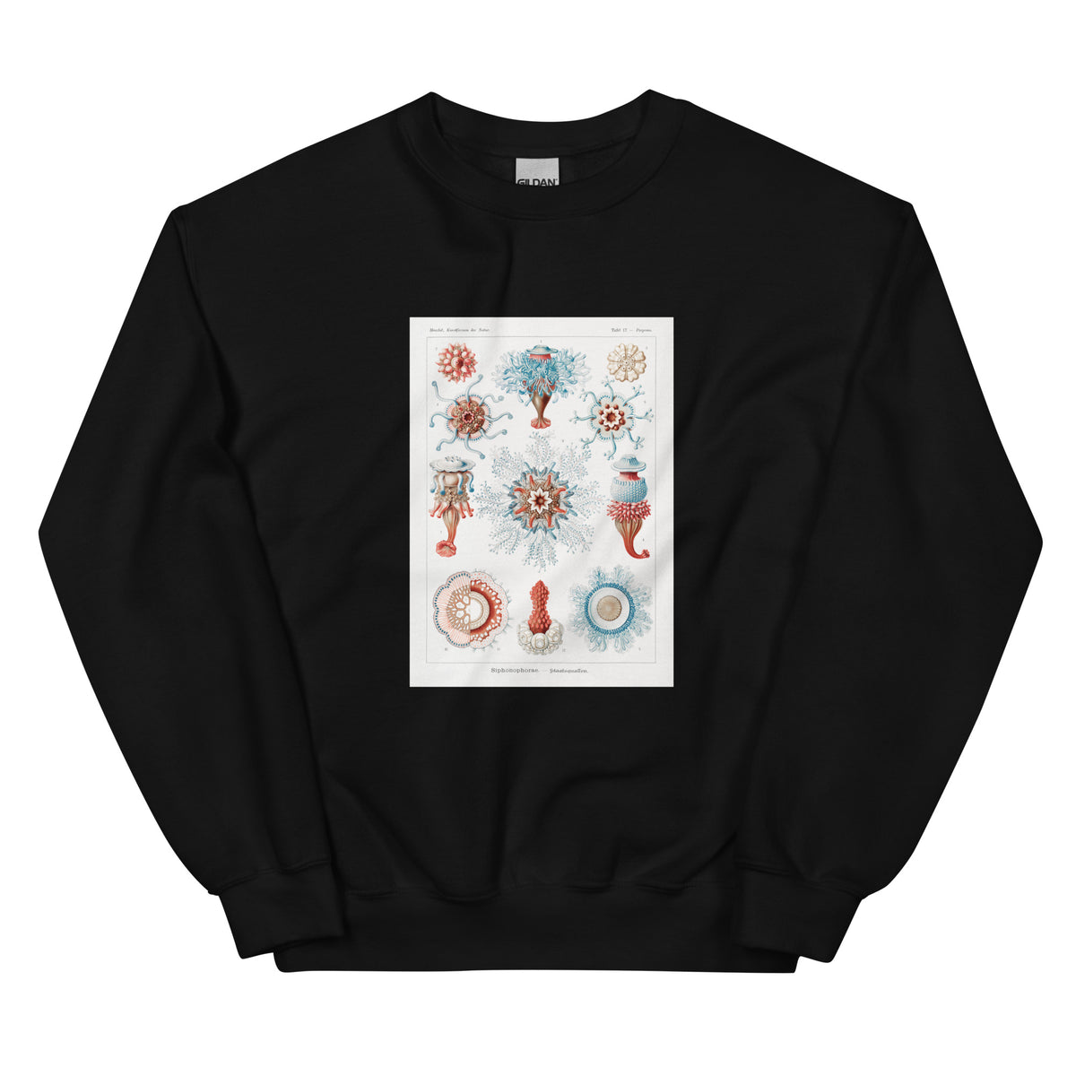 Black Sweater Siphonophorae Staatsquallen Essential