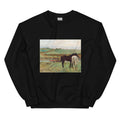 Black Sweater Horse In A Meadow Essential