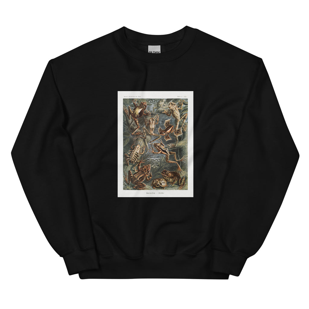 Black Sweater Batrachia Frosche Essential